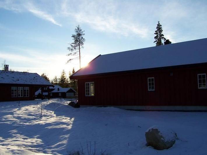 Feriehus for 8 personer, med hage og terrasse, dyr tillatt i Telemark