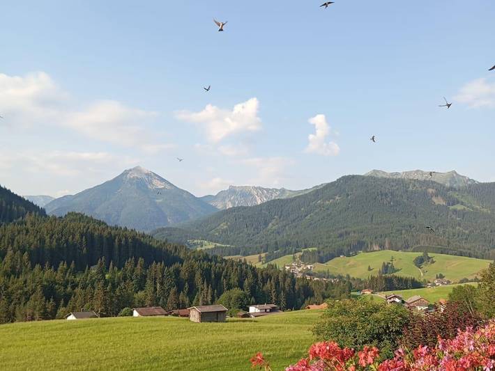 Ferienwohnung für 6 Personen, mit Garten, mit Haustier in Achenkirch - 2