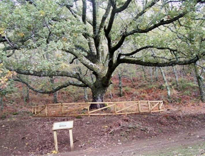 Casa rural para 4 personas, con jardín en Valle del Jerte - 4