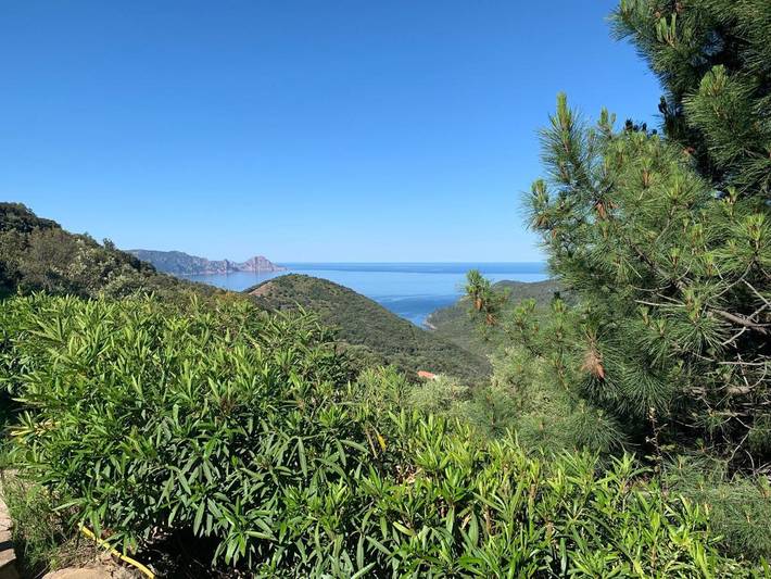 Gîte pour 2 personnes, avec vue et terrasse, animaux acceptés à Partinello - 2