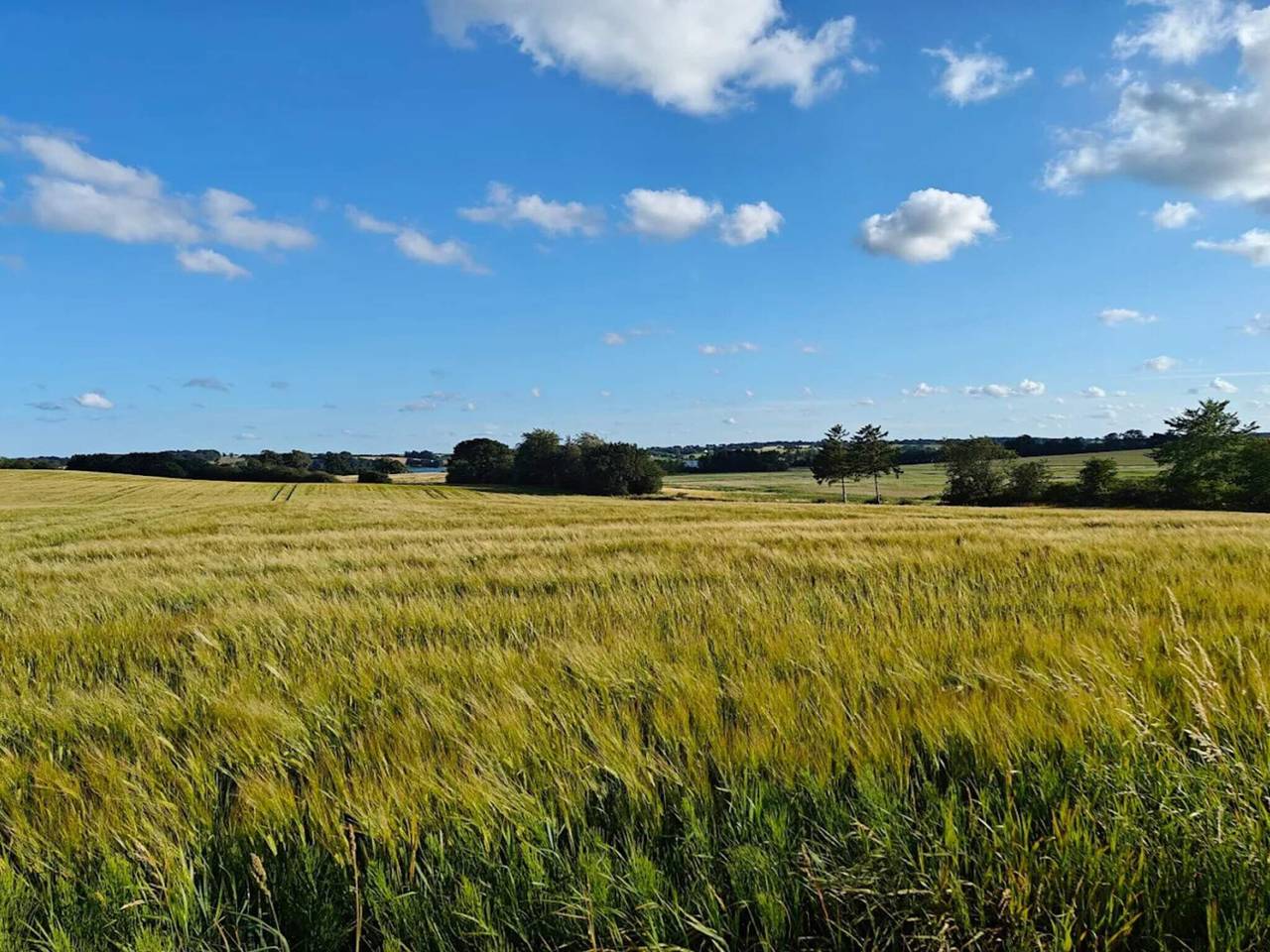 6 Personen Ferienhaus in Hejls in Hejls, Kleiner Belt