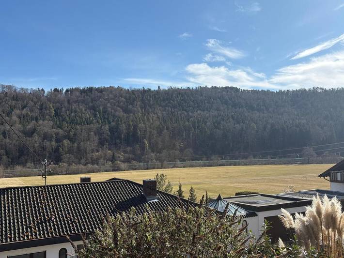 Ferienwohnung für 4 Personen, mit Terrasse und Sauna sowie Ausblick in Horb am Neckar