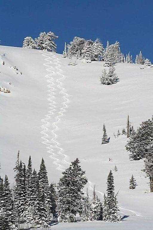 Unglaubliche Rate ... Unglaublicher Schnee. Komme und nimm es!! in Eden (UT), Uinta Wasatch Cache National Forest