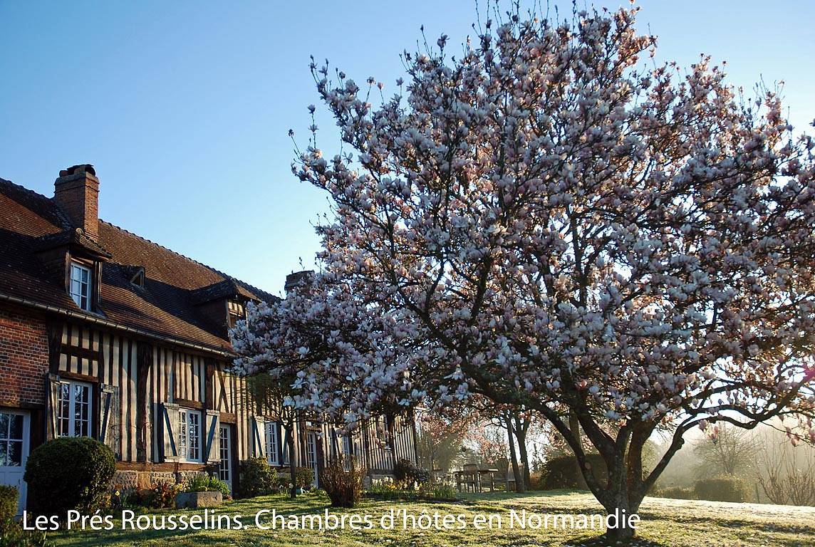 Les Prés Rousselins - Les Toits in Courtonne-la-Meurdrac, Région de Lisieux