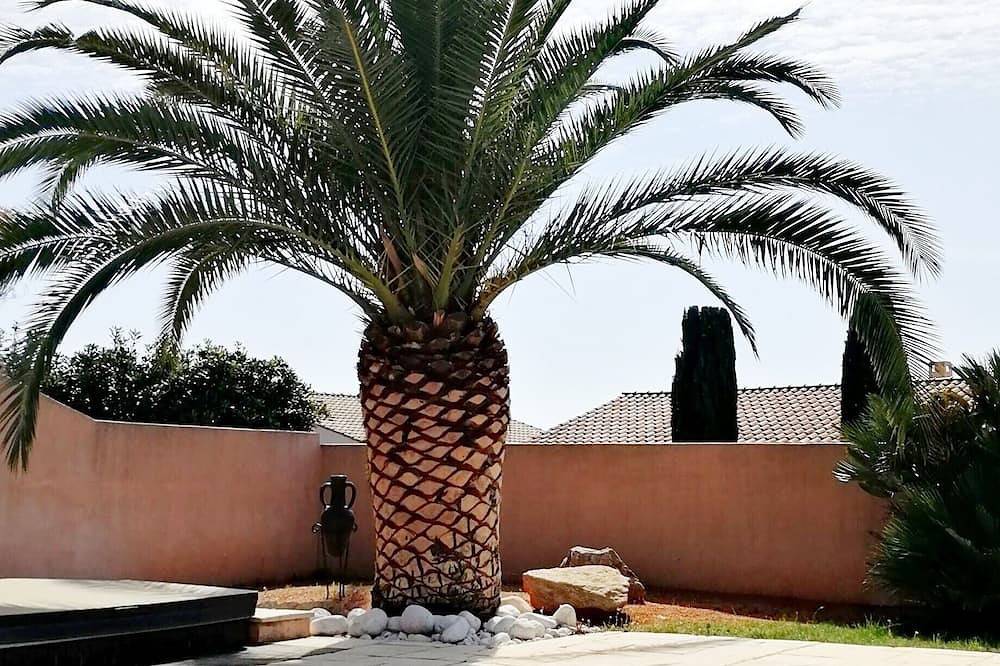 Appartement entier, Gîte les palmiers in Roquebrune-sur-Argens, Côte méditerranéenne (France)