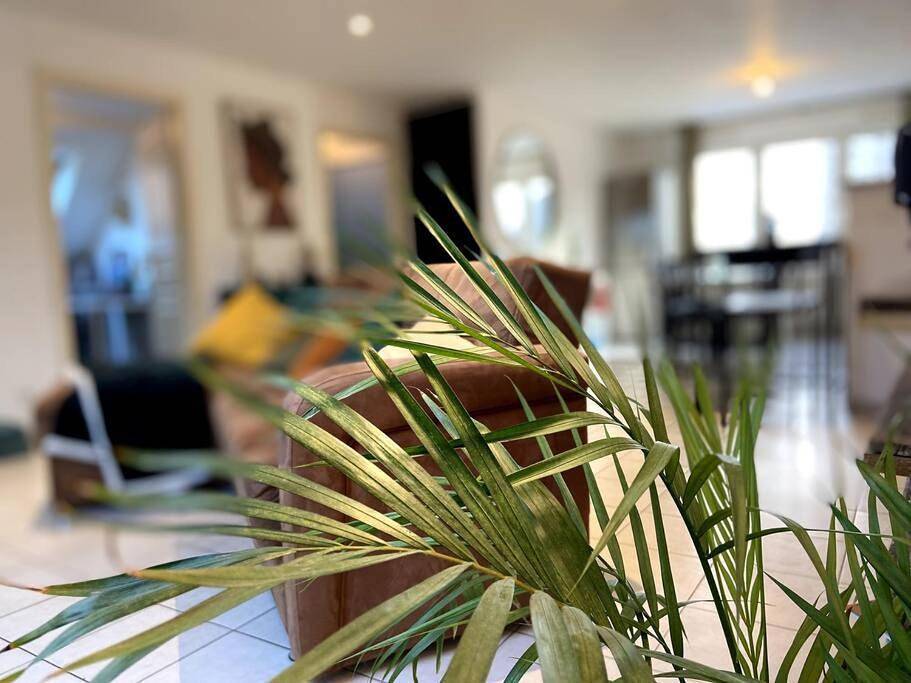 Appartement entier, Strg Center at 10 min-Christmas market and 10min Eu Parliament-Wifi-Tv in Bischheim, Région de Strasbourg