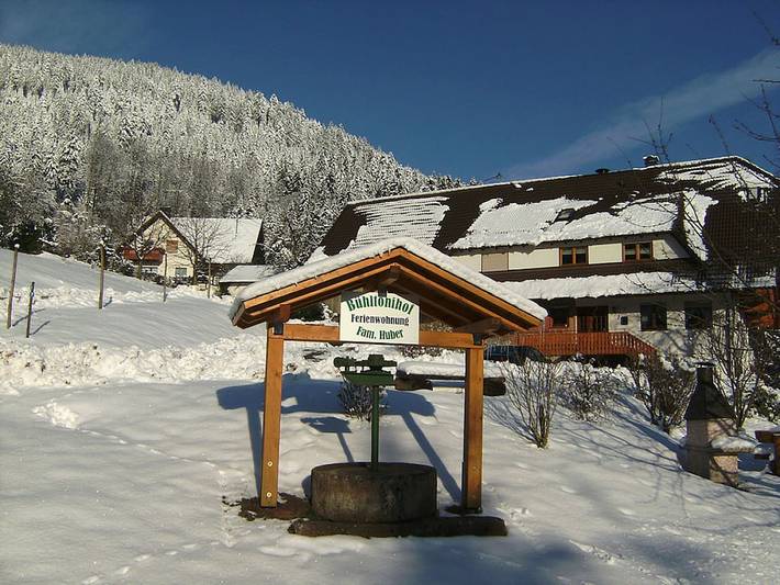 Ferienwohnung mit 2 Schlafzimmer in Oppenau, Renchtal