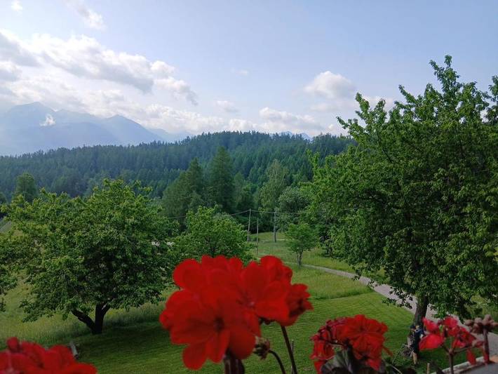 Appartamento vacanze per 4 persone, con panorama e terrazza nonché giardino, con animali domestici - 1