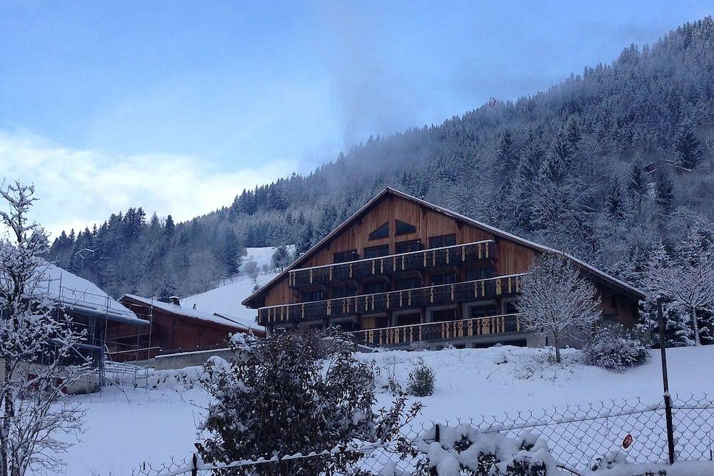 Geheel appartement, Groot penthouse-appartement, balkon, 10 slaapplaatsen, familie- en huisdiervriendelijk. in Seytroux, Thonon-les-Bains en omgeving