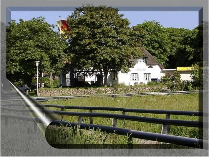 Ferienhaus für 4 Personen, mit Terrasse, mit Haustier - 1