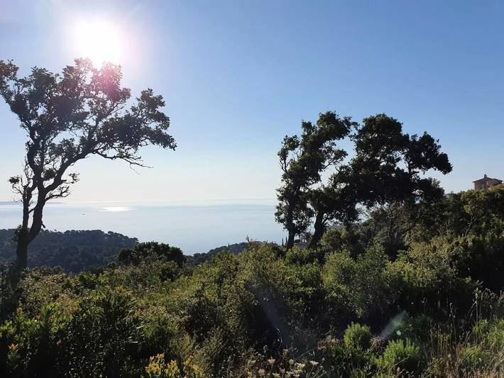 Villa pour 3 personnes, avec terrasse à Bormes-les-Mimosas - 3