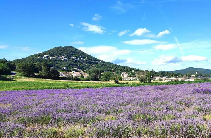 Location de vacances pour 10 personnes, avec Balcon et Jacuzzi ainsi que Terrasse et Jardin à Savasse