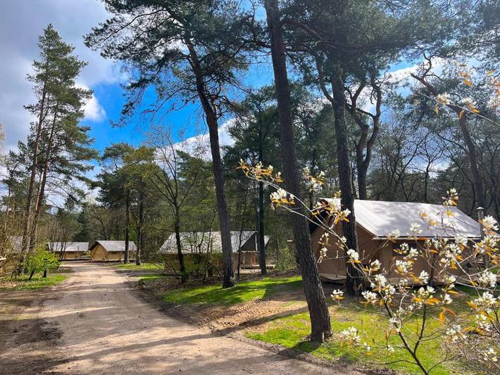 Camping voor 5 personen, met Terras en Zwembad op de Hoge Veluwe