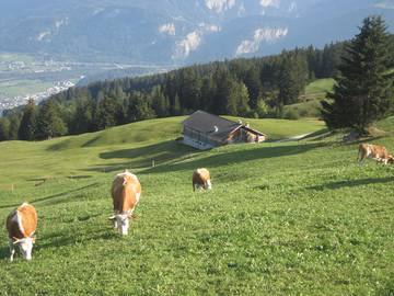 Hütte für 6 Personen in Cazis, Lepontinische Alpen, Bild 2