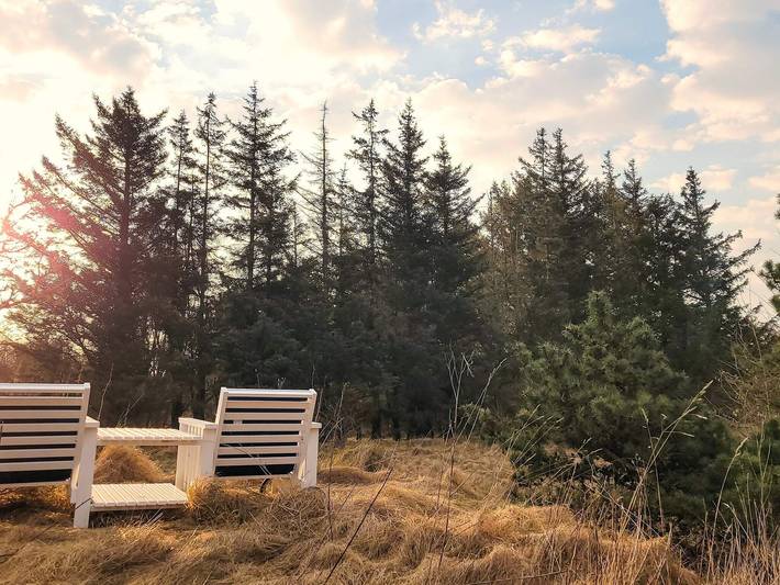Ferienhaus für 12 Personen, mit Sauna und Terrasse sowie Whirlpool und Pool, kinderfreundlich in Vester Husby - 4
