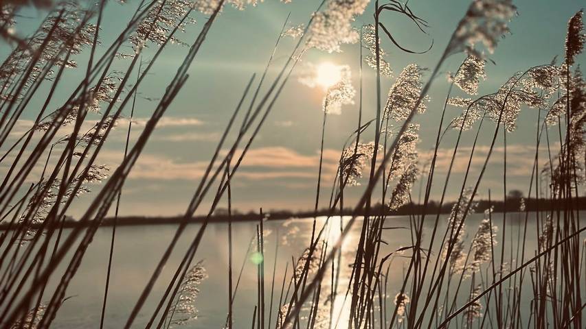 Ferienhaus für 4 Personen, mit Garten in Südbrookmerland