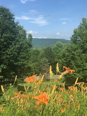 Vacation House for 4 Guests in Catskill Mountains, New York State, Picture 4