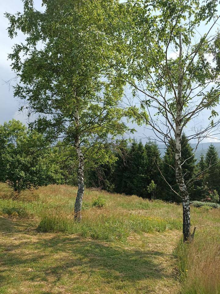 Small Double Room in Ustrzyki Górne, Bieszczady
