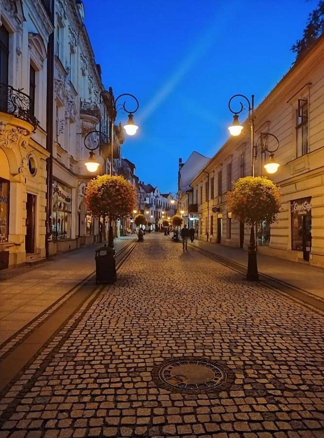 Apartament wakacyjny dla 5 osób, z Balkon i Jacuzzi oraz Taras i Ogród w Nowy Sącz