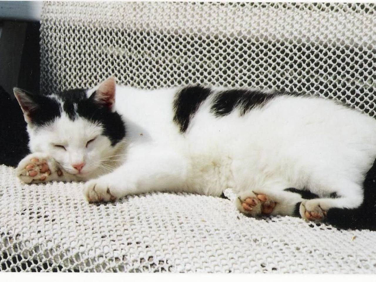 Apartamento entero, "Galerie" in Spandowerhagen, Kröslin