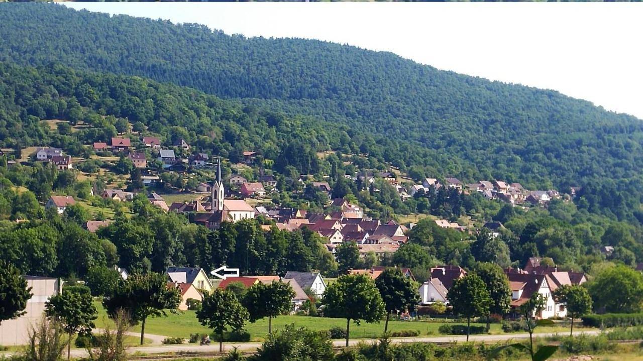 Alsace nature et découvertes in Gunsbach, Parc naturel régional des Ballons des Vosges