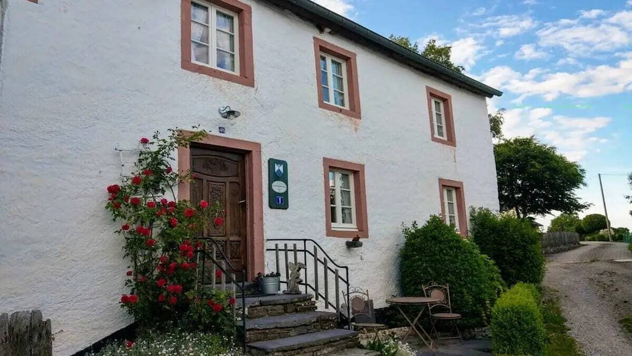 Ferienhaus für 8 Personen (198 m²) in Reuland in Burg-Reuland, Lüttich und Umgebung