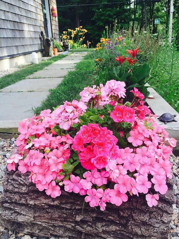 Spaziergang zum Strand, ruhige Umgebung, hundefreundlich in Biddeford, York County