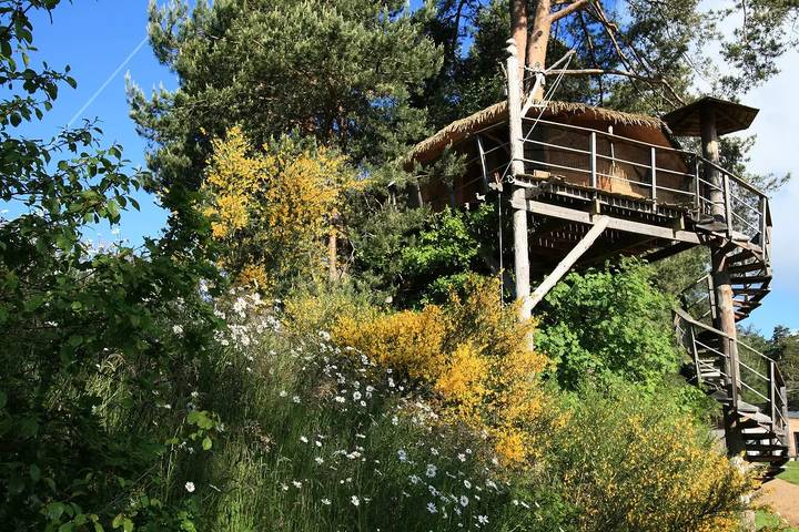Chalet 3 Zimmer 6 Personen Pmr in Seilhac, Tulle und Umgebung