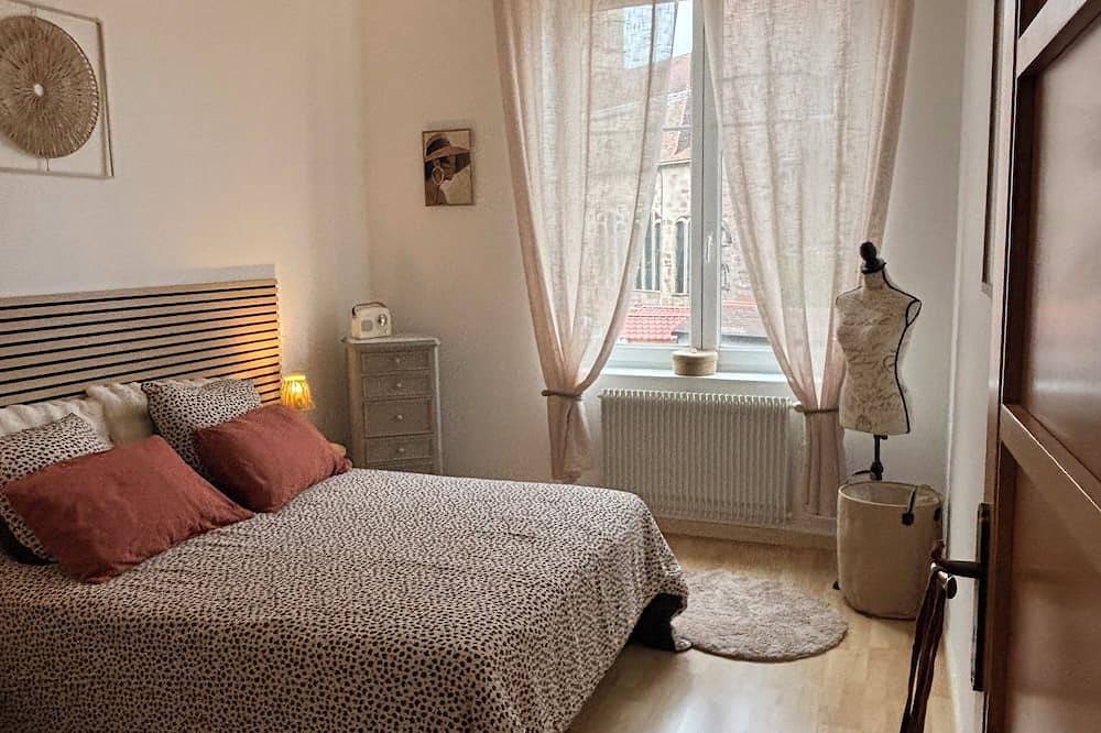 Entire apartment, Place de l'Âtre: exceptional view of the basilica in Épinal, Épinal region