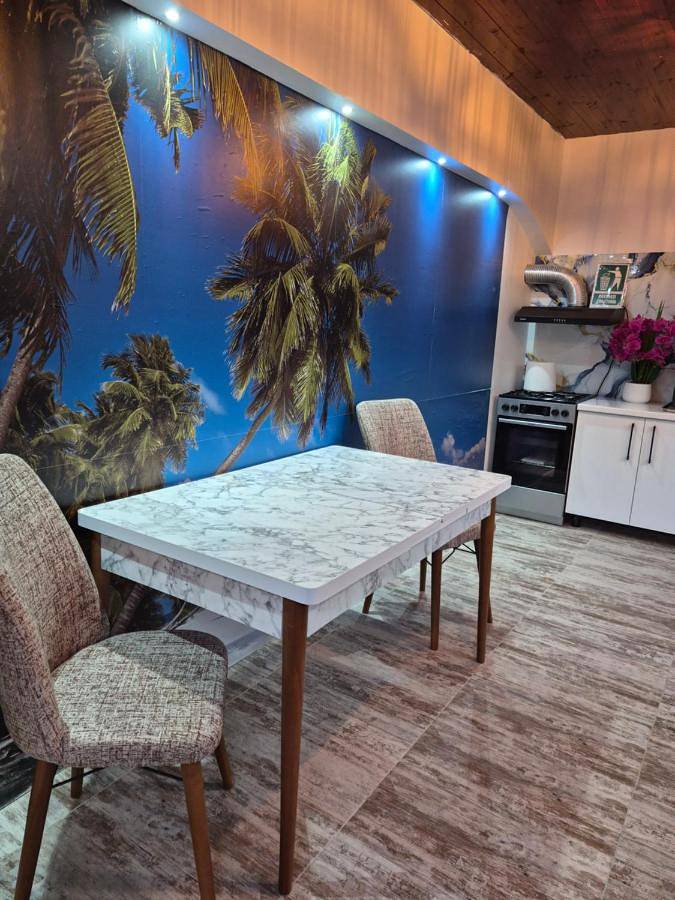 Maison d’hôte pour 3 personnes, avec terrasse et jardin dans Constanța - 3