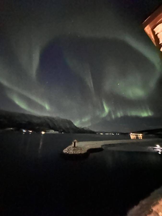 Malangen Arctic Sealodge Cabin 10 in Balsfjord