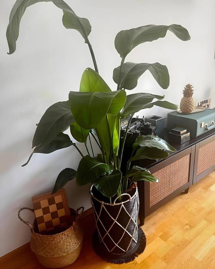 Appartement entier, Appartement 'Allgäuloft im Sennhof' avec vue sur la montagne, balcon et Wi-Fi in Weiler-Simmerberg, Souabe (Bavière)