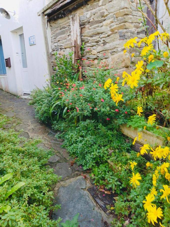 Location de vacances pour 4 personnes, animaux acceptés dans Office De Tourisme De Locquirec - 2