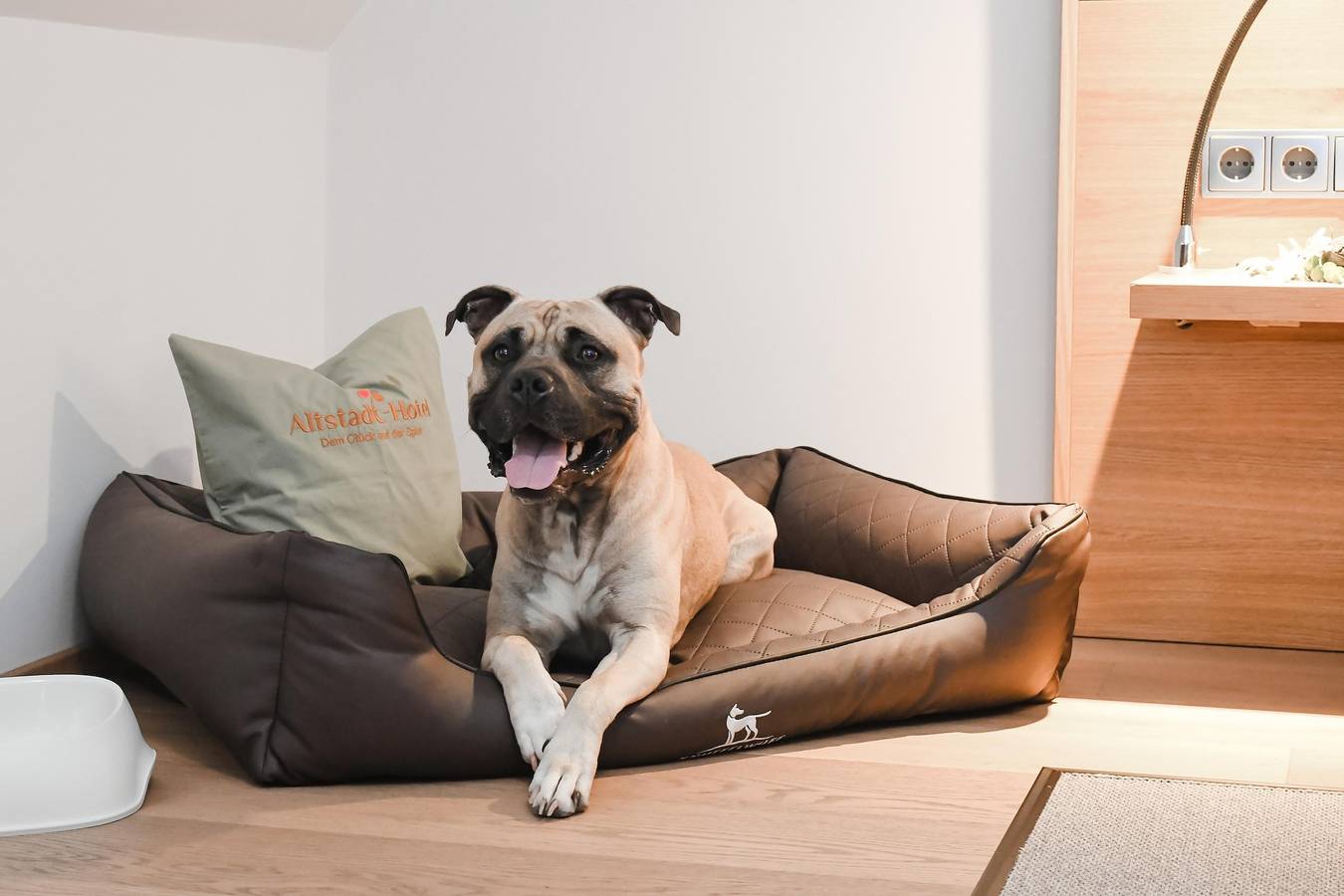 Standard Doppelzimmer in Freiberg, Chemnitz (region)