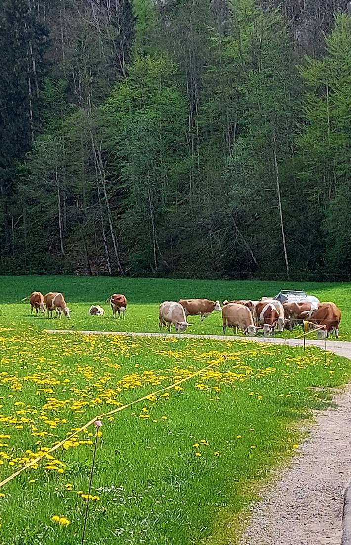 Ferienwohnung für 3 Personen, mit Balkon und Garten in Unterwössen - 3