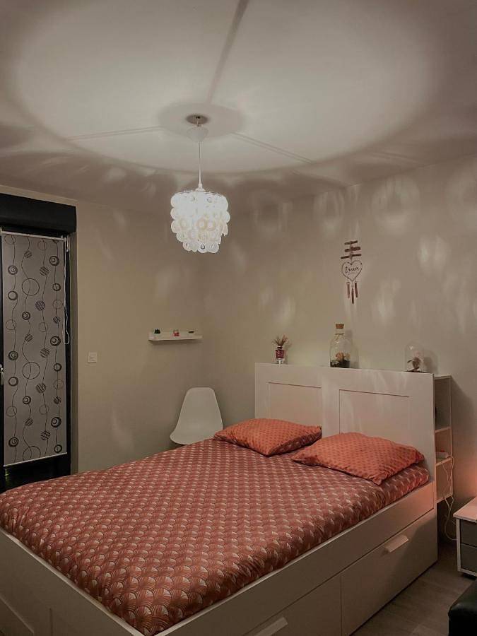 Chambre d’hôte pour 3 personnes, avec terrasse à Villeneuve-d'Ascq