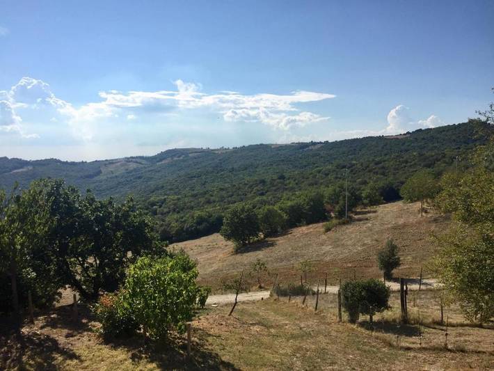 Gîte pour 2 personnes, avec Jardin et Vue à San Quirico d'Orcia - 3
