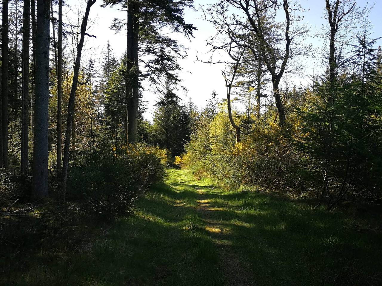 Ruhiger Ruckzug in Klitmoller in Klitmøller, Thy Nationalpark