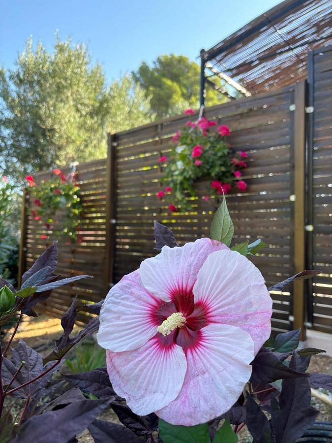 Chambre d’hôte pour 2 personnes, avec vue et balcon à Draguignan - 4