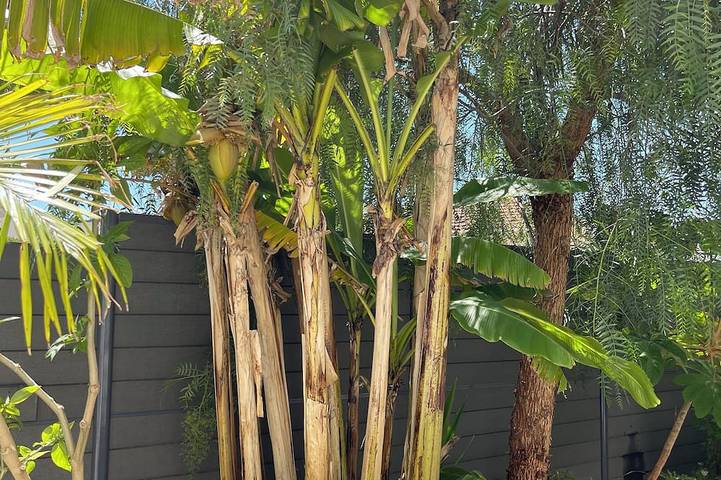 Ferienhaus für 4 Personen in Cannes