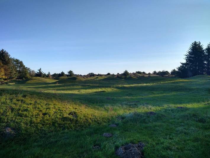 Ferienhaus für 6 Personen, mit Balkon/Terrasse, kinderfreundlich in Nørlev Strand - 4