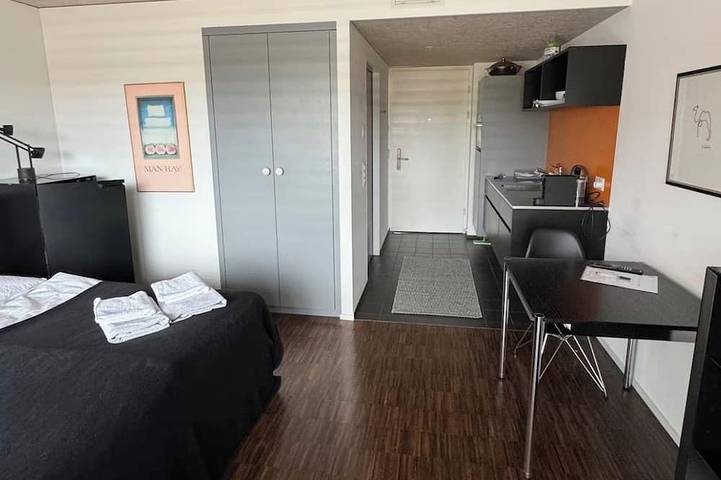 Ganze Wohnung, Schönes zentrales Appartment nähe Hafen Kreuzlingen in Kreuzlingen 3 Ziil, Kreuzlingen
