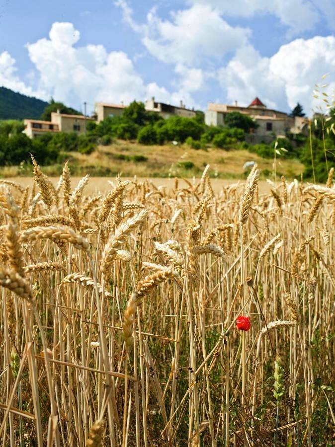 Location de vacances pour 2 personnes, avec vue et jardin à Sault - 4
