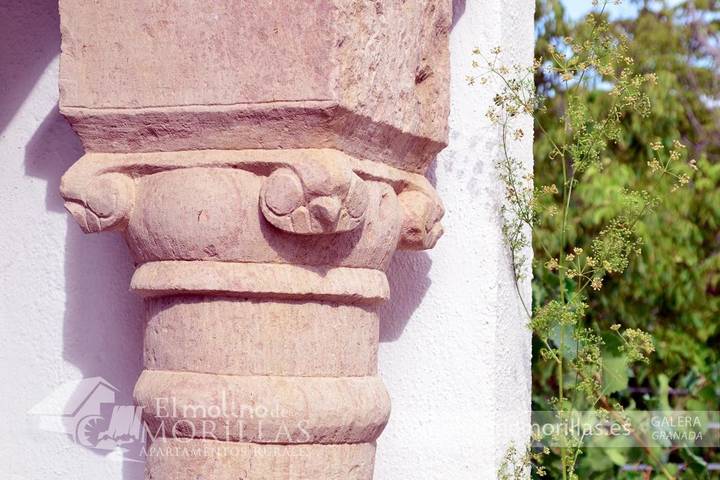 Casa rural para 2 personas, con vistas además de jardín y piscina, Se admiten mascotas en Galera  - 4
