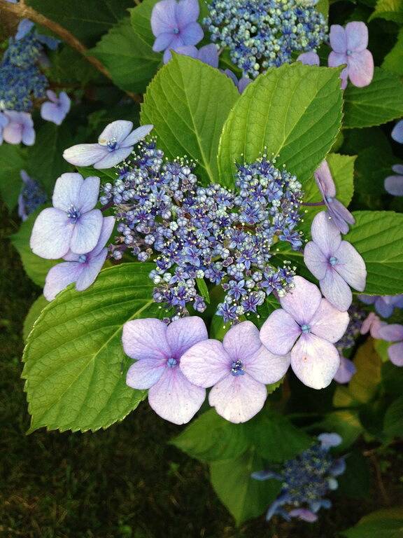 Ganze Wohnung, Atemberaubende Studio mit Blick auf den Hafen - Downtown Historic District in Bristol (RI), Bristol County