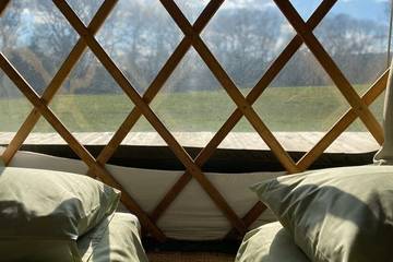 Glamping for 6 People in Fernhurst, West Sussex, Photo 2