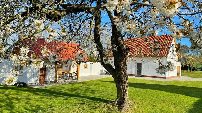 Ferienhaus für 4 Personen, mit Garten in Sassnitz