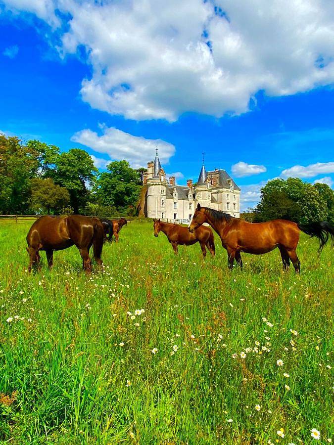Gîte pour 4 personnes, avec vue et jardin à Casson - 2