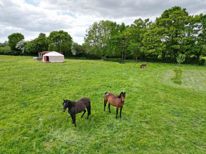 Chalet pour 2 personnes, avec jardin en Normandie - 2