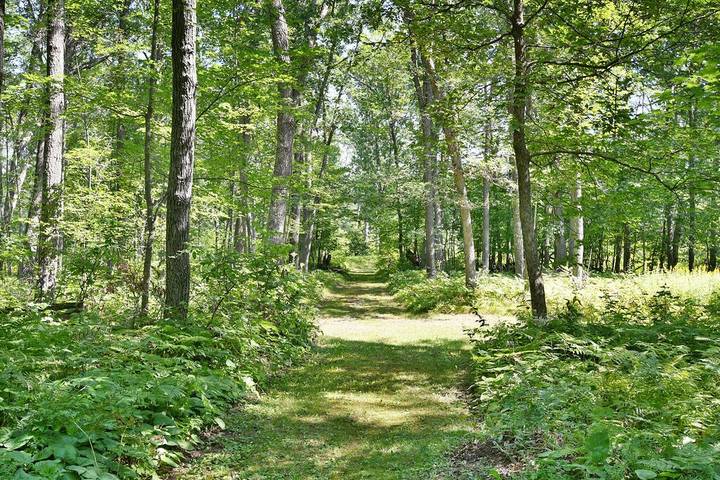 Bed and breakfasts for 4 people, with garden and sauna in Wisconsin